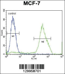 Anti-MBD3L3 Rabbit Polyclonal Antibody