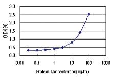 Anti-HPX Antibody Pair