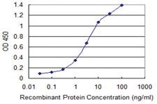 Anti-ISL2 Mouse Monoclonal Antibody [clone: 1D9]