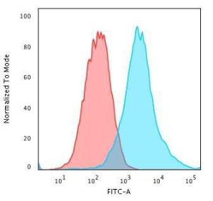 Anti-Cytokeratin 19 antibody