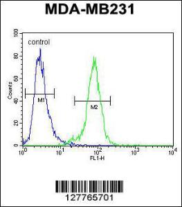 Anti-PDE12 Rabbit Polyclonal Antibody (HRP (Horseradish Peroxidase))