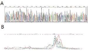 VWR®, Cod Uracil-DNA glycosylase