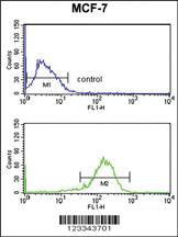 Anti-IL10RA Rabbit Polyclonal Antibody