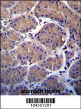 Anti-USP20 Rabbit Polyclonal Antibody (Biotin)