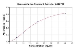 Representative standard curve for Mouse COMT ELISA kit (A312788)