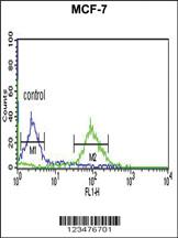 Anti-CCND2 Rabbit Polyclonal Antibody