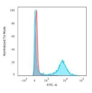 Flow cytometric analysis of human PBMC cells using Anti-CD8A Antibody [RIV11] followed by Goat Anti-Mouse IgG (CFand#174; 488) (Blue). Unstained cells (red)