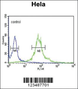 Anti-IPO11 Rabbit Polyclonal Antibody