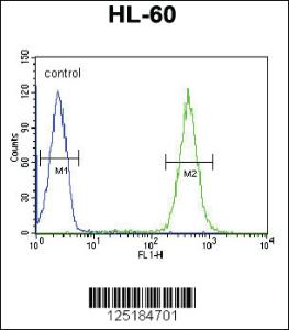 Anti-APOBEC2 Rabbit Polyclonal Antibody