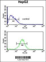 Anti-ACTL6B Rabbit Polyclonal Antibody (Biotin)