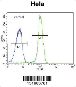 Anti-SDHD Rabbit Polyclonal Antibody