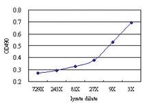 Anti-MRRF Antibody Pair