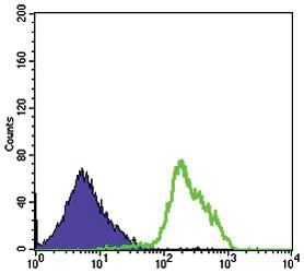 Anti-BECN1 Mouse Monoclonal Antibody [clone: 2A4]