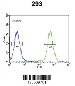 Anti-ADORA1 Rabbit Polyclonal Antibody