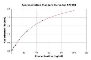 Representative standard curve for Human Syndecan 4 ELISA kit (A77291)