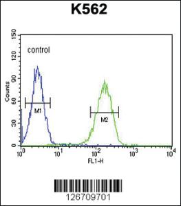 Anti-CACNA2D4 Rabbit Polyclonal Antibody