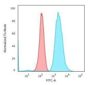 Anti-Fascin Mouse Monoclonal Antibody [clone: FSCN1/418]