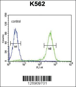 Anti-SLC10A1 Rabbit Polyclonal Antibody