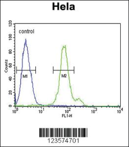 Anti-HRH1 Rabbit Polyclonal Antibody