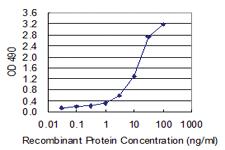 Anti-TNFSF4 Polyclonal Antibody Pair