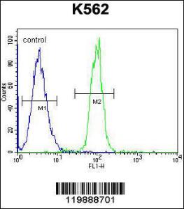 Anti-TCF21 Rabbit Polyclonal Antibody (APC (Allophycocyanin))