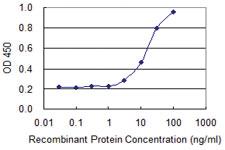 Anti-POLR2A Mouse Monoclonal Antibody [clone: 1F17]