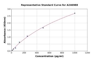 Representative standard curve for Rat CYP11B1 ELISA kit (A246988)