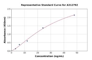 Representative standard curve for Mouse SOD2/MnSOD ELISA kit (A312792)