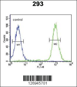 Anti-WDR11 Rabbit Polyclonal Antibody