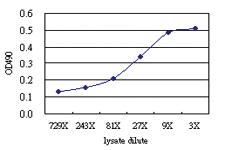 Anti-MARK2 Antibody Pair