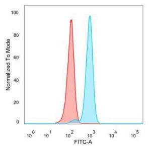 Flow cytometric analysis of PFA-fixed HeLa cells using Anti-IRF3 Antibody [PCRP-IRF3-3B2] followed by Goat Anti-Mouse IgG (CF&#174; 488) (Blue). Isotype Control (Red).