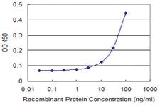 Anti-FOXM1 Mouse Monoclonal Antibody [clone: 4G3]