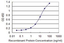 Anti-PITPNB Mouse Monoclonal Antibody [clone: 3D3]