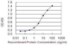 Anti-OSBP2 Mouse Monoclonal Antibody [clone: 2B4]