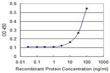 Anti-PPP1R16A Mouse Monoclonal Antibody [clone: 2B12]