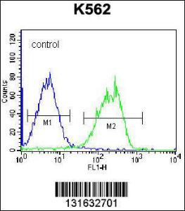 Anti-HLA-DQA1 Rabbit Polyclonal Antibody (FITC (Fluorescein Isothiocyanate))