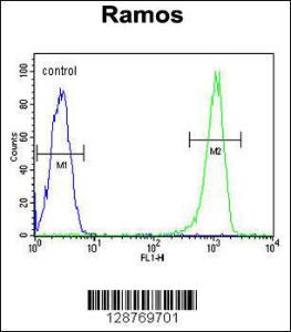 Anti-C11orf53 Rabbit Polyclonal Antibody