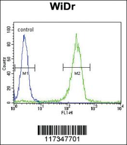 Anti-SOCS1 Rabbit Polyclonal Antibody