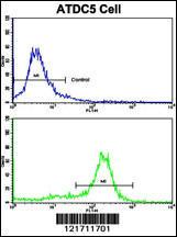 Anti-MSRB2 Rabbit Polyclonal Antibody (APC (Allophycocyanin))