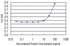 Anti-NPM2 Mouse Monoclonal Antibody [clone: 5E9]