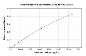 Representative standard curve for human BMPER ELISA kit (A313605)