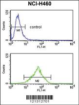 Anti-FPR3 Rabbit Polyclonal Antibody