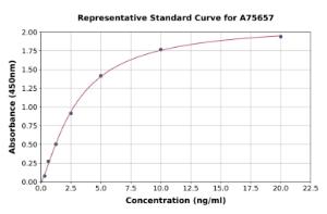 Representative standard curve for Human NOTCH4 ELISA kit (A75657)