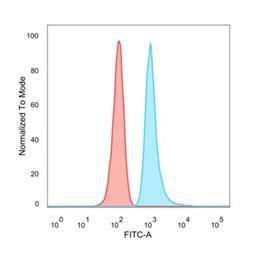 Anti-MED22 Mouse Monoclonal Antibody [Clone: PCRP-MED22-1E4]