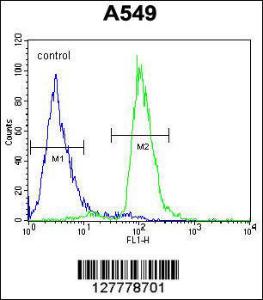 Anti-PARPBP Rabbit Polyclonal Antibody (AP (Alkaline Phosphatase))