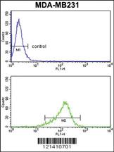 Anti-IL12A Rabbit Polyclonal Antibody