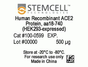 Human recombinant ACE2 protein, aa18-740 (HEK293-expressed)