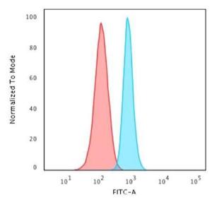 Flow cytometric analysis of HeLa cells using Anti-beta III Spectrin Antibody [SPTBN2/1583] followed by Goat Anti-Mouse IgG (CF&#174; 488) (Blue) Isotype Control (Red)