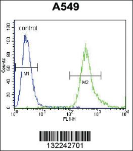 Anti-DCAF4L1 Rabbit Polyclonal Antibody