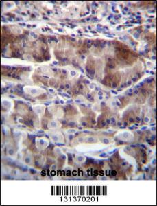 Anti-NRSN2 Rabbit Polyclonal Antibody (Biotin)